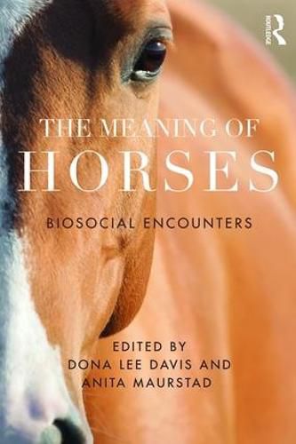 Cover image for The Meaning of Horses: Biosocial Encounters