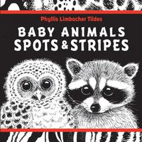 Cover image for Baby Animals Spots & Stripes