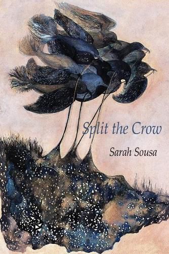 Cover image for Split the Crow