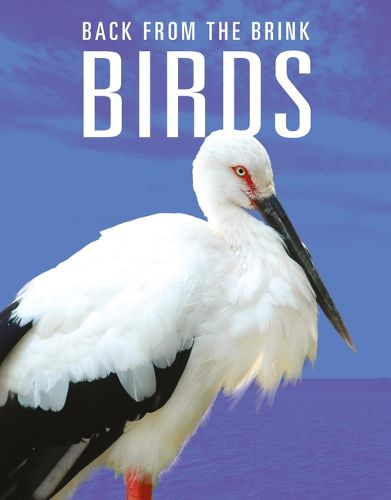 Cover image for Birds: Back from the Brink