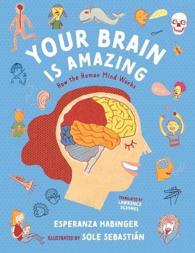 Cover image for Your Brain Is Amazing: How the Human Mind Works