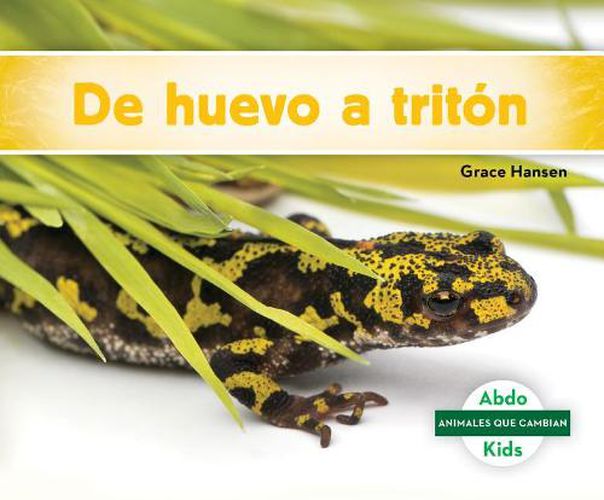 Cover image for De Huevo a Triton / Becoming a Newt