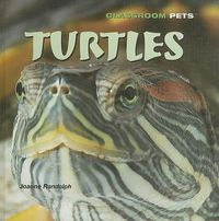 Cover image for Turtles