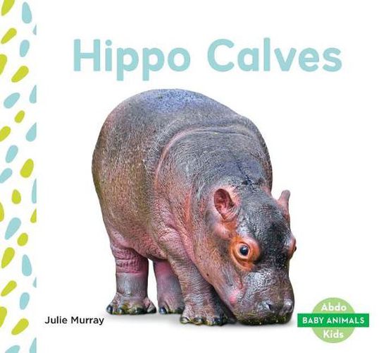 Cover image for Hippo Calves