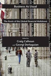 Cover image for Business as Usual: The Roots of the Global Financial Meltdown