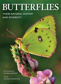 Cover image for Butterflies: Their Natural History and Diversity