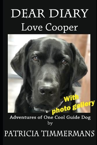Cover image for Dear Diary, Love Cooper