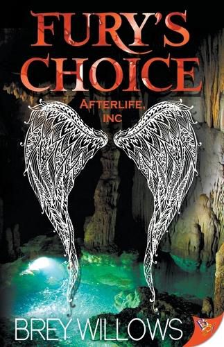 Cover image for Fury's Choice