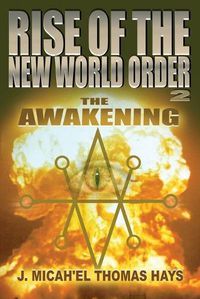 Cover image for Rise of the New World Order 2: The Awakening