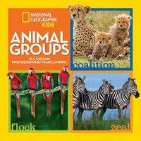 Cover image for Animal Groups