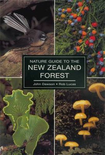 Nature Guide To The NZ Forest