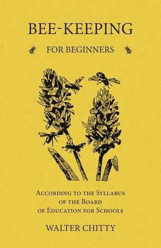 Cover image for Bee-Keeping for Beginners - According to the Syllabus of the Board of Education for Schools