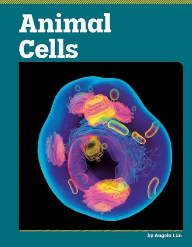 Cover image for Animal Cells