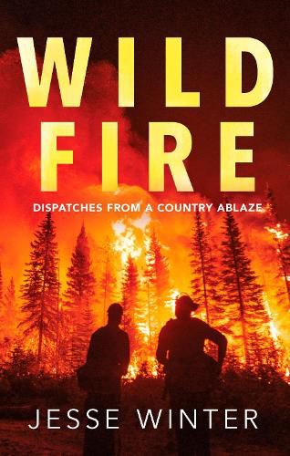 Cover image for Wild Fire