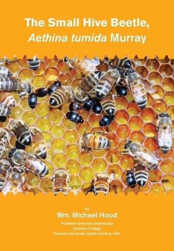 Cover image for The Small Hive Beetle, Aethina tumida Murray