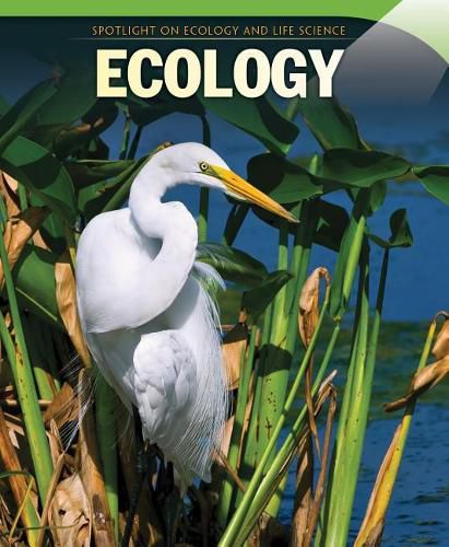 Cover image for Ecology