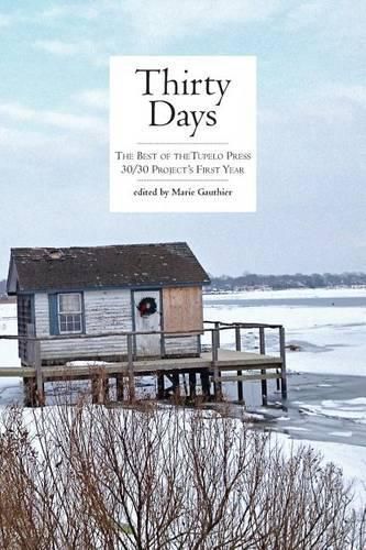 Cover image for Thirty Days