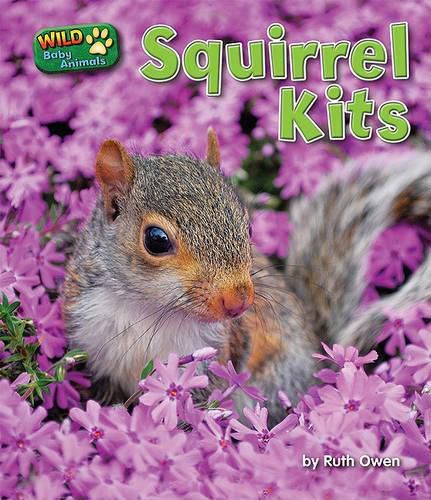 Cover image for Squirrel Kits