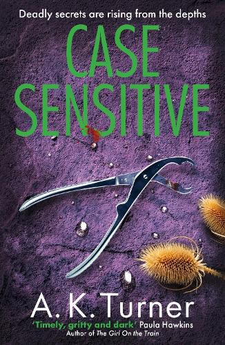 Cover image for Case Sensitive