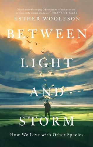 Cover image for Between Light and Storm