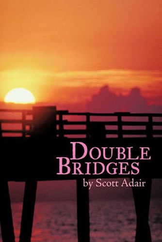 Cover image for Double Bridges