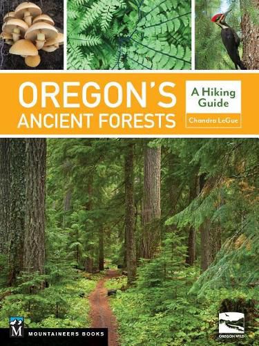 Cover image for Oregon's Ancient Forests: A Hiking Guide