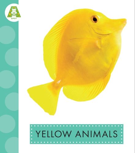 Cover image for Yellow Animals