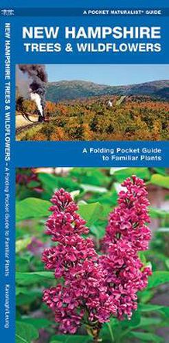 Cover image for New Hampshire Trees & Wildflowers: A Folding Pocket Guide to Familiar Species