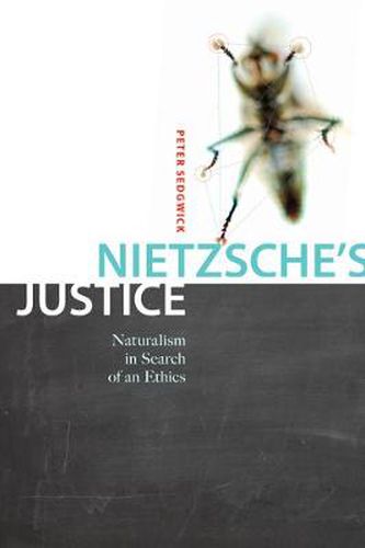 Cover image for Nietzsche's Justice: Naturalism in Search of an Ethics