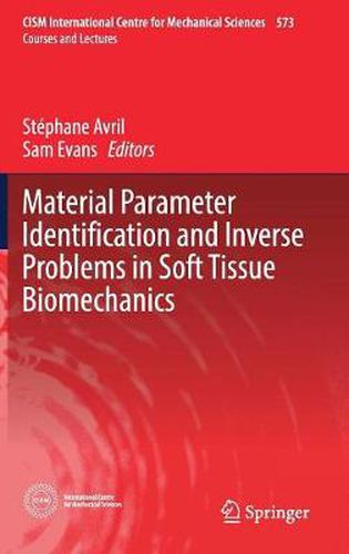 Cover image for Material Parameter Identification and Inverse Problems in Soft Tissue Biomechanics