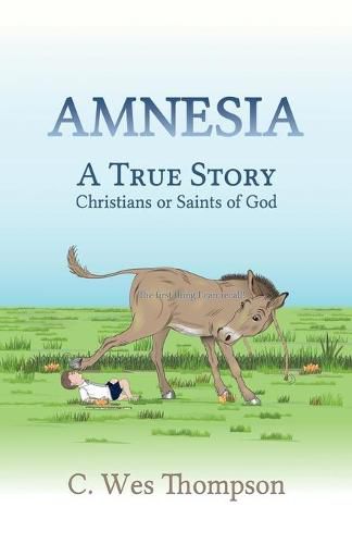 Cover image for Amnesia: Christians or Saints of God