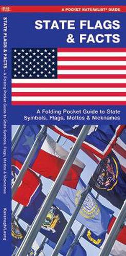 Cover image for State Flags & Facts: A Folding Pocket Guide to State Flags, Symbols, Mottos & Nicknames