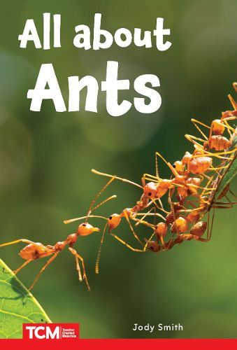 Cover image for All about Ants