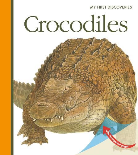 Cover image for Crocodiles