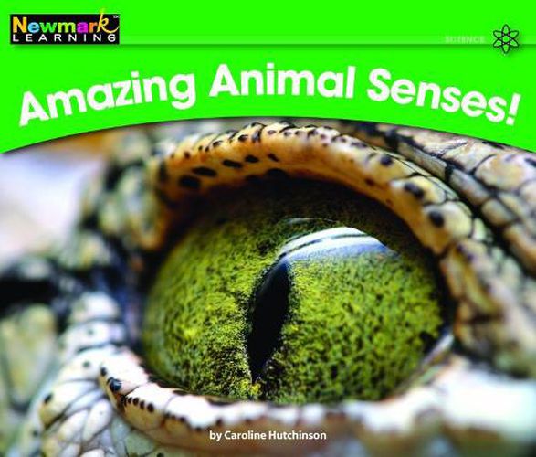 Cover image for Amazing Animal Senses! Leveled Text