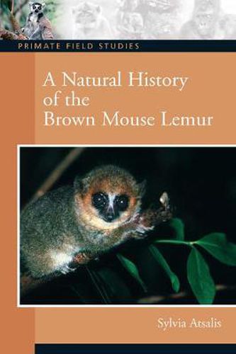 Cover image for A Natural History of the Brown Mouse Lemur