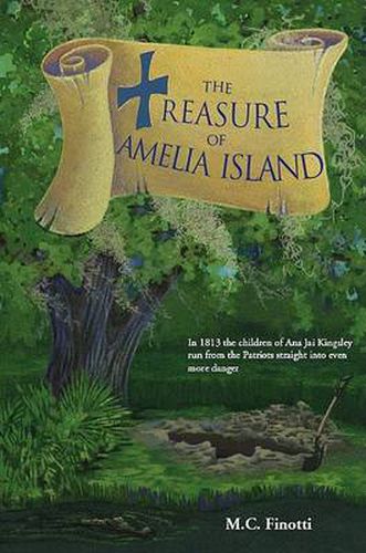 Cover image for The Treasure of Amelia Island