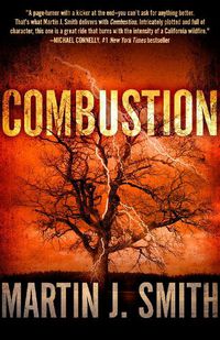 Cover image for Combustion