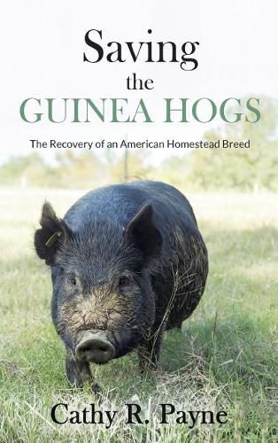 Cover image for Saving the Guinea Hogs: The Recovery of an American Homestead Breed