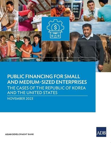 Cover image for Public Financing for Small and Medium-Sized Enterprises