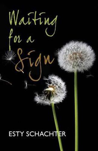 Cover image for Waiting for a Sign