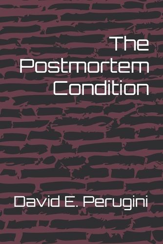 Cover image for The Postmortem Condition