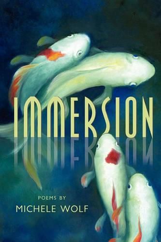 Cover image for Immersion