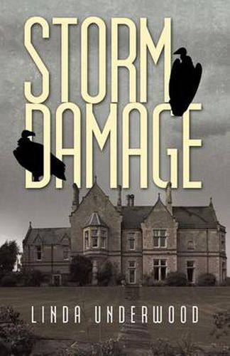 Cover image for Storm Damage