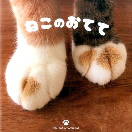 Cover image for Cats Hands