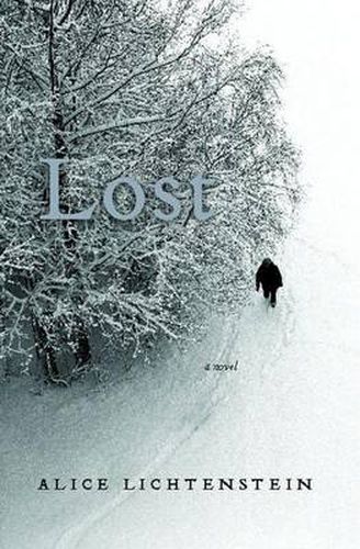 Cover image for Lost