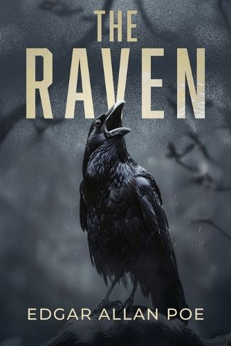 Cover image for The Raven