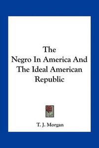 Cover image for The Negro in America and the Ideal American Republic