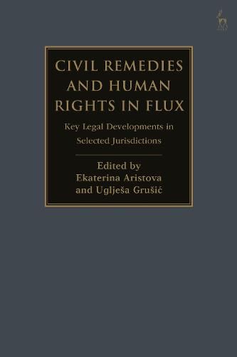 Cover image for Civil Remedies and Human Rights in Flux: Key Legal Developments in Selected Jurisdictions