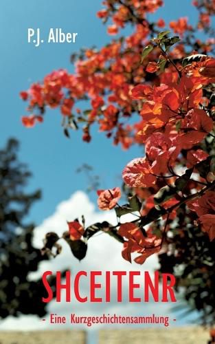 Cover image for Shceitenr